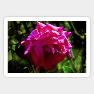 Shiny Pink Rose Sticker